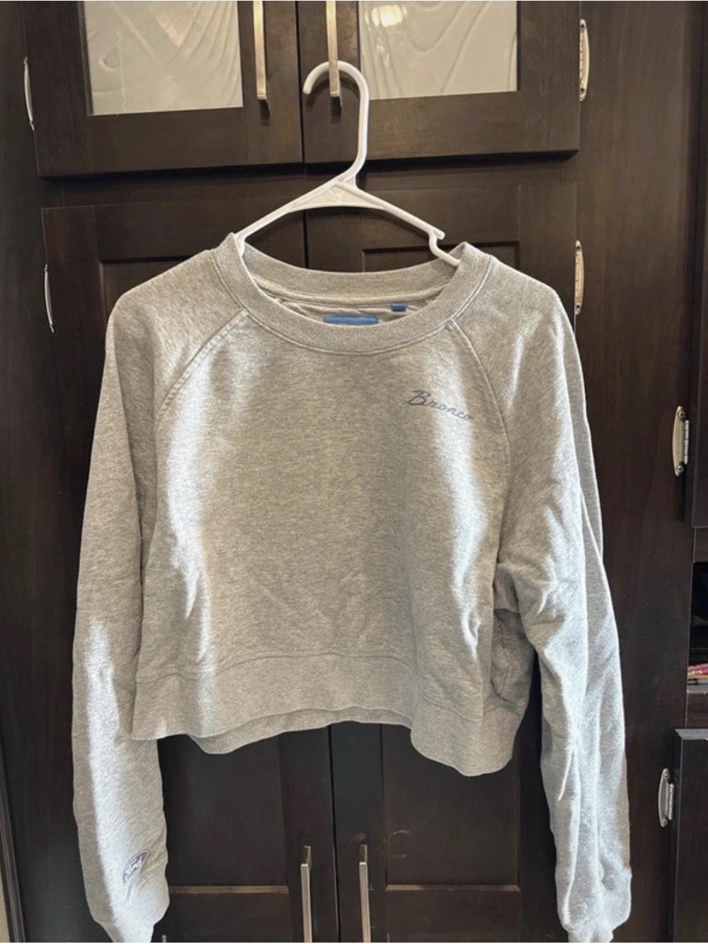 PacSun Light Heather Gray Cropped Crew Sweatshirt